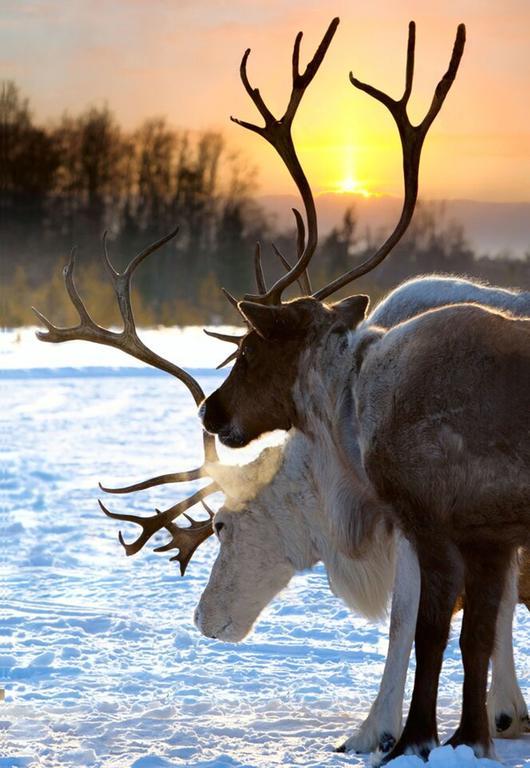 Hotell Funaesdalen Экстерьер фото
